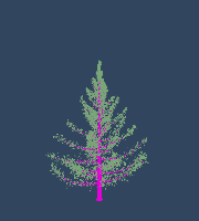greenshift tree