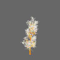 greenshift tree