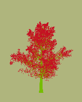 greenshift tree