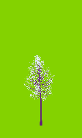 greenshift tree