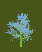 greenshift tree