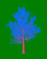 greenshift tree