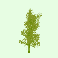 greenshift tree