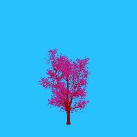 greenshift tree