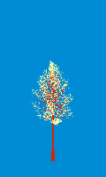greenshift tree
