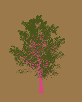 greenshift tree