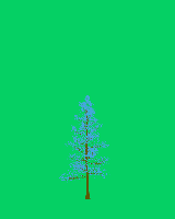 greenshift tree
