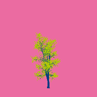 greenshift tree