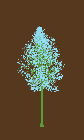 greenshift tree