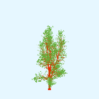 greenshift tree