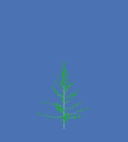 greenshift tree