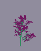 greenshift tree