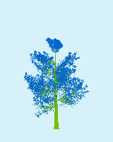 greenshift tree