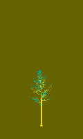 greenshift tree