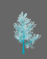 greenshift tree