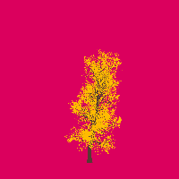 greenshift tree