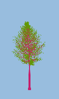 greenshift tree