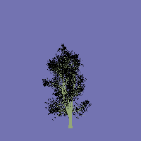 greenshift tree