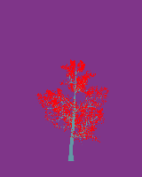greenshift tree