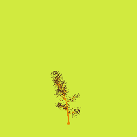 greenshift tree