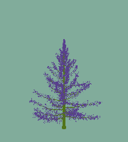 greenshift tree