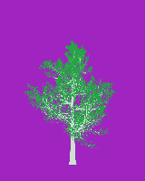 greenshift tree