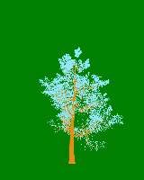 greenshift tree