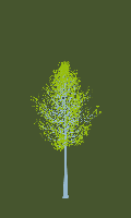 greenshift tree