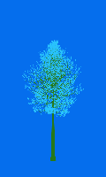 greenshift tree