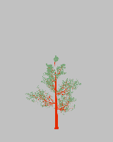 greenshift tree