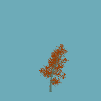 greenshift tree