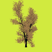 greenshift tree