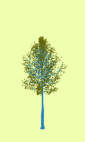 greenshift tree
