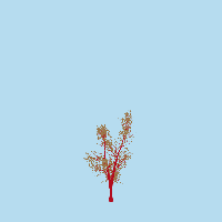 greenshift tree