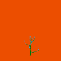 greenshift tree
