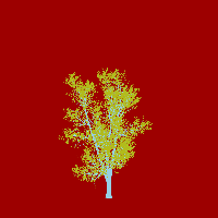 greenshift tree