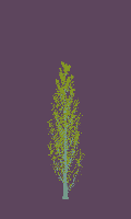 greenshift tree