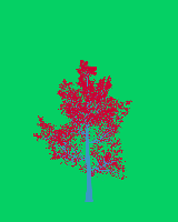 greenshift tree