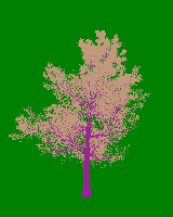greenshift tree