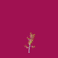 greenshift tree