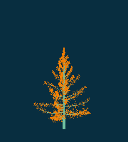 greenshift tree