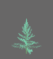 greenshift tree