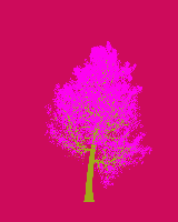 greenshift tree