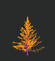 greenshift tree