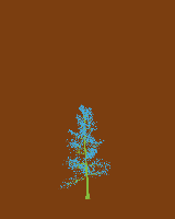 greenshift tree