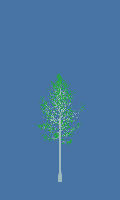 greenshift tree