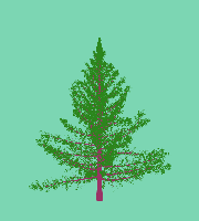 greenshift tree