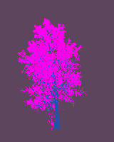 greenshift tree