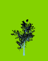 greenshift tree