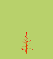 greenshift tree